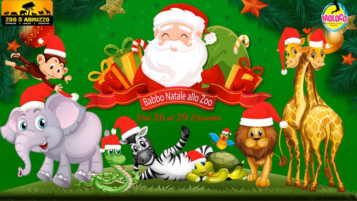 Babbo Natale allo zoo