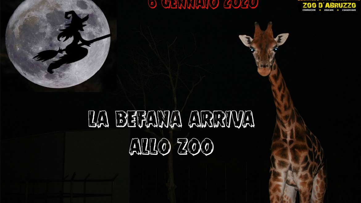 befana-allo-zoo