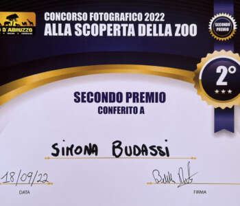 concorso fotografico zoo 2022