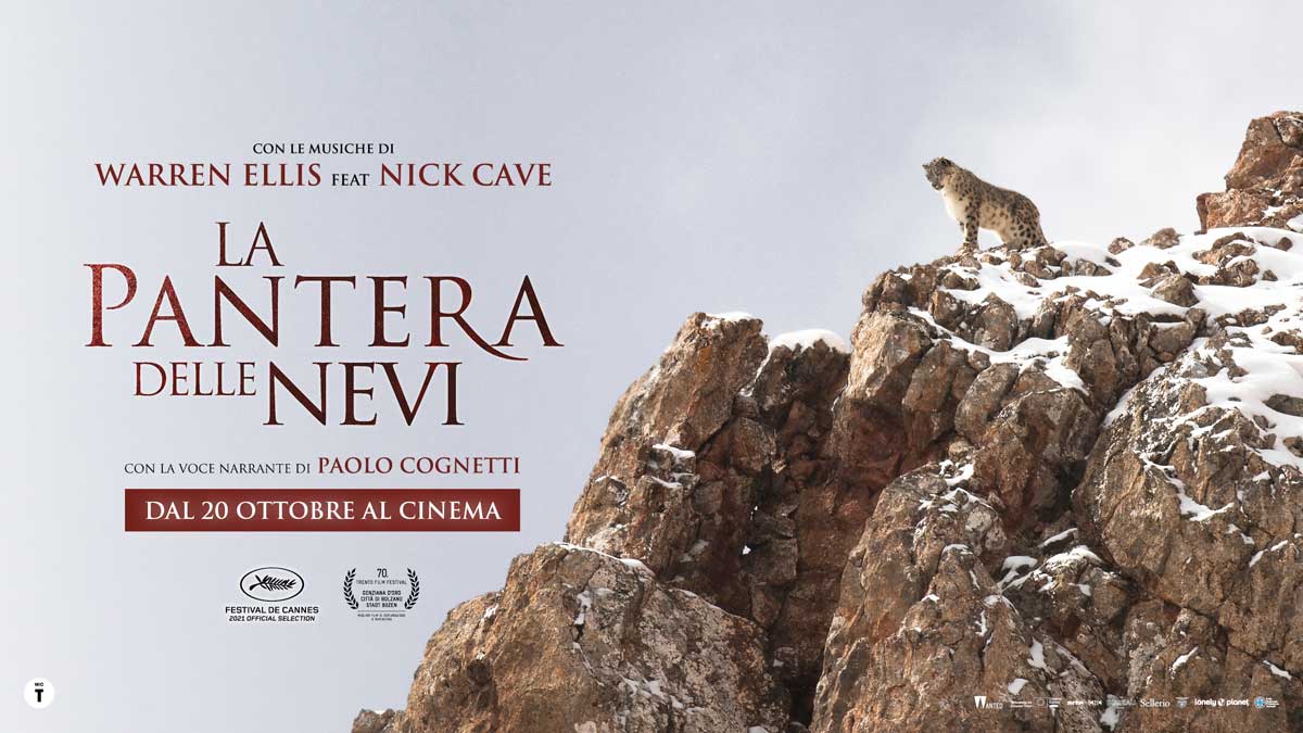 La pantera delle nevi film