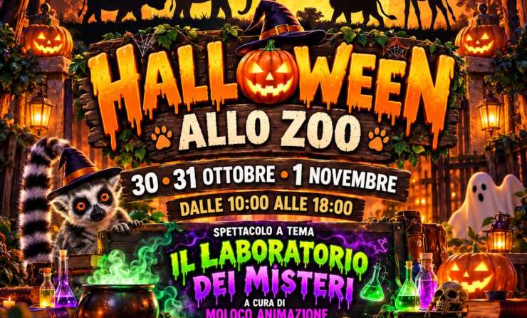holloween 2026